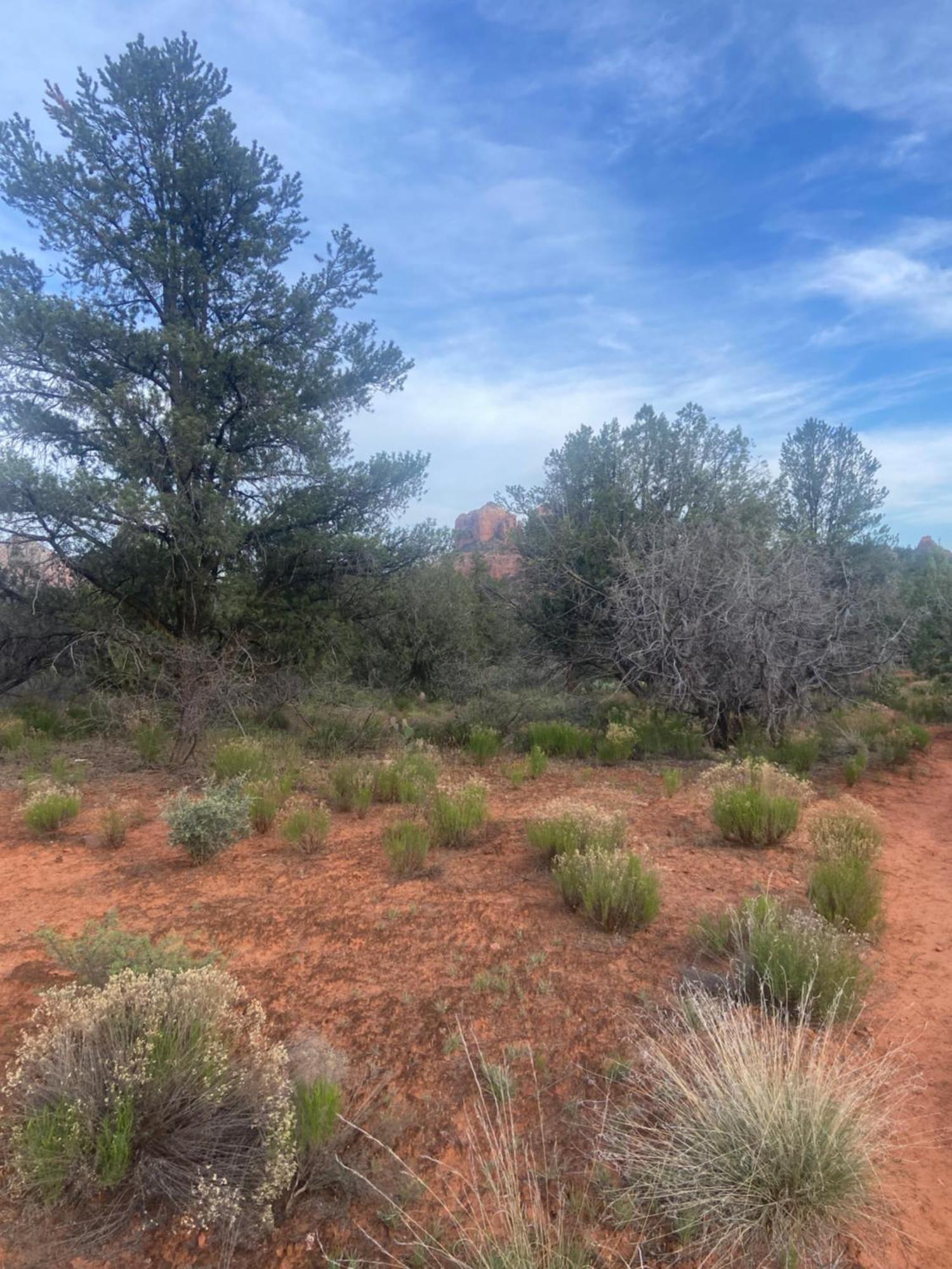 The Tiny House Hotel Sedona Eksteriør billede